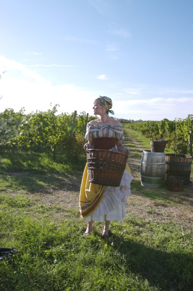 Grape stomping in Tuscany
